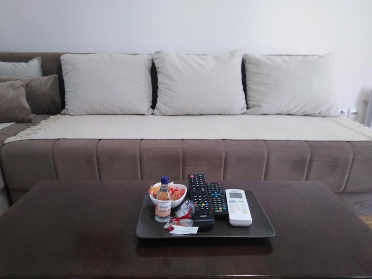 Apartment Laca Vrnjačka Banja المظهر الخارجي الصورة