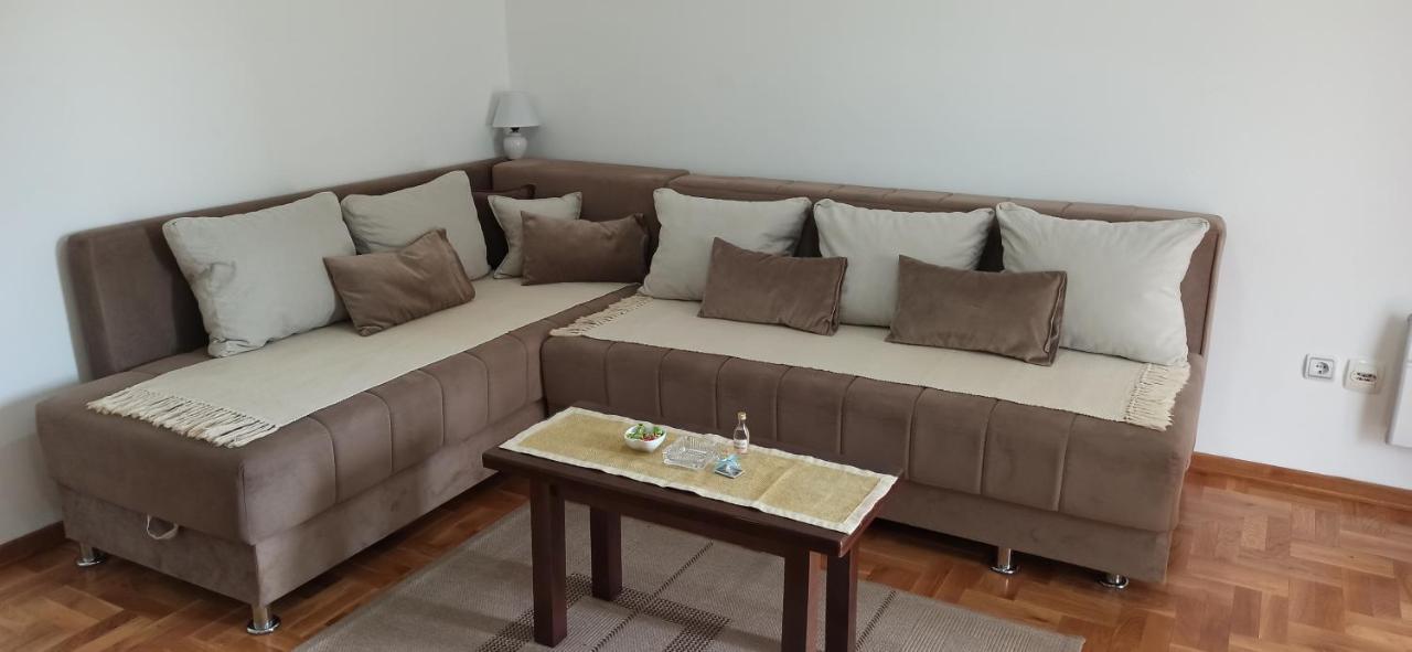 Apartment Laca Vrnjačka Banja المظهر الخارجي الصورة