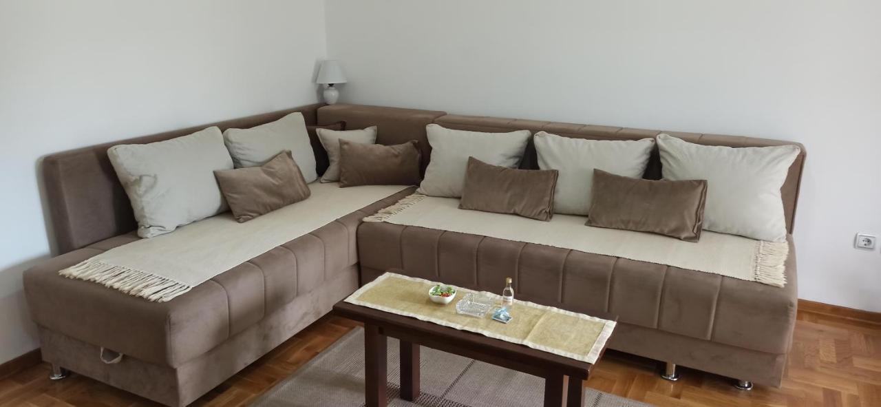 Apartment Laca Vrnjačka Banja المظهر الخارجي الصورة